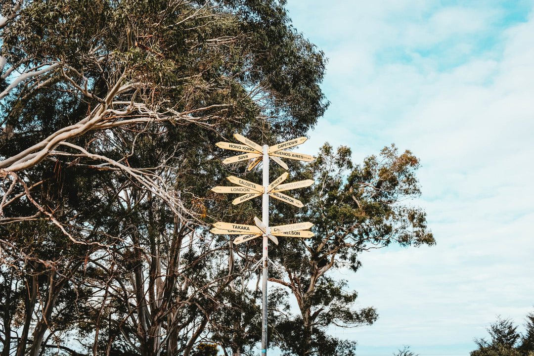 Aggiornamento sulle spedizioni – Temporanea modifica del corriere