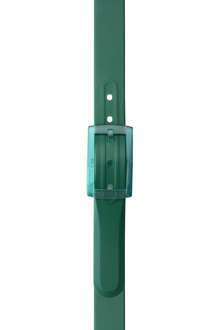 Cintura Basic Tinta Unita verde