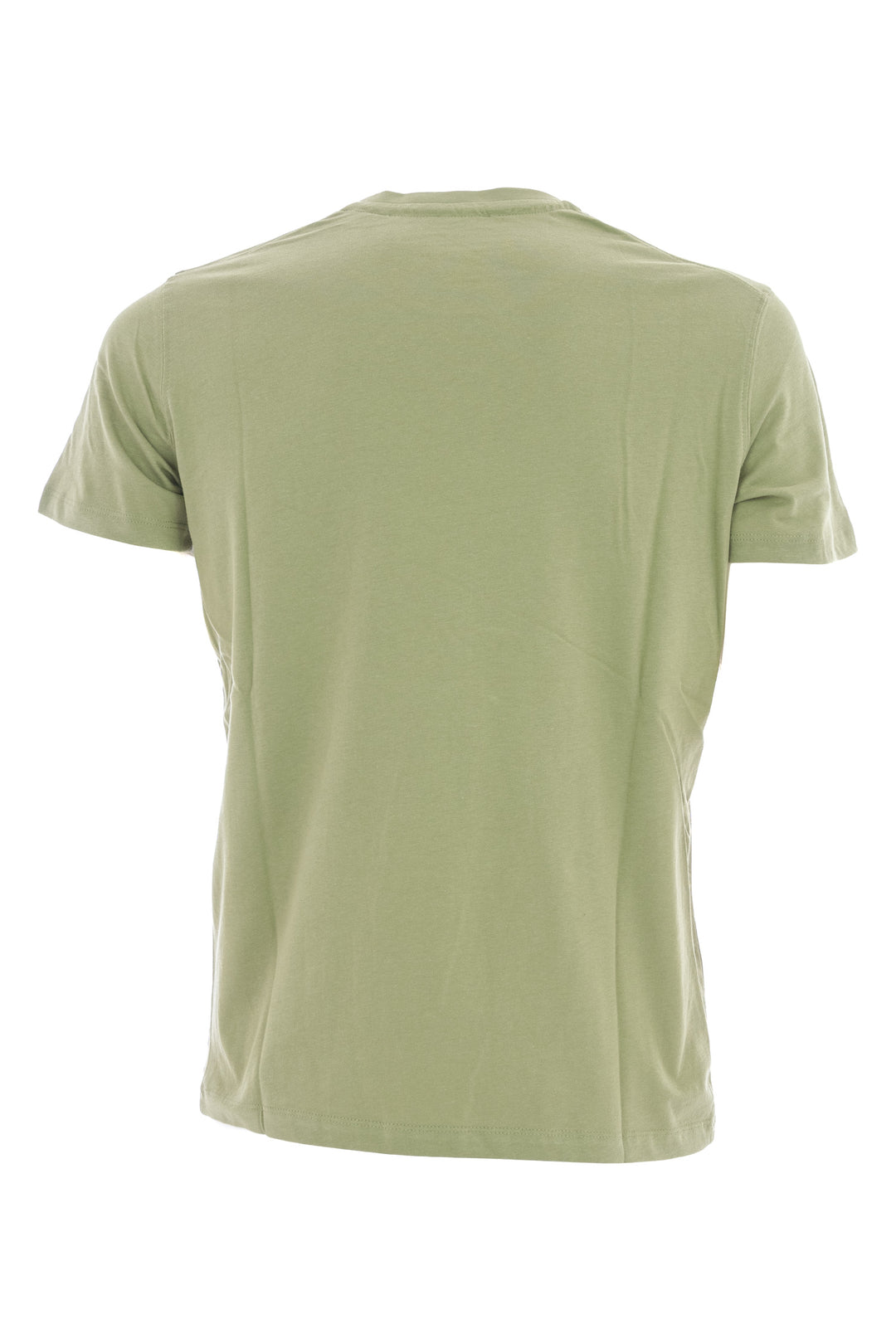 U.S. POLO ASSN. T-Shirt in cotone verde - Mancinelli 1954
