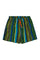 Multicolor striped cactus polyester beach shorts